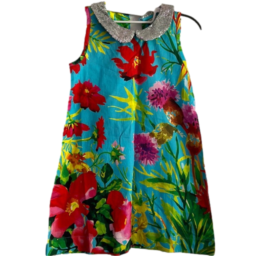 Sophie catalou dress